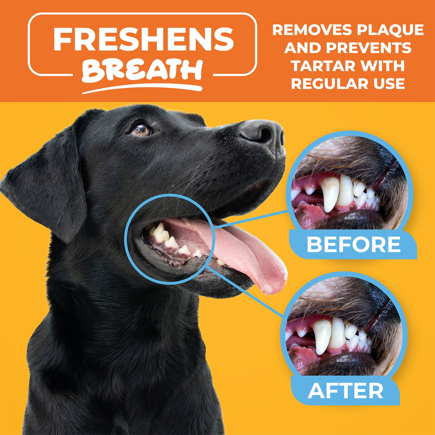 Paw Science Dental Finger Wipes for Dogs and Cats - Unscented (50 Wipes)