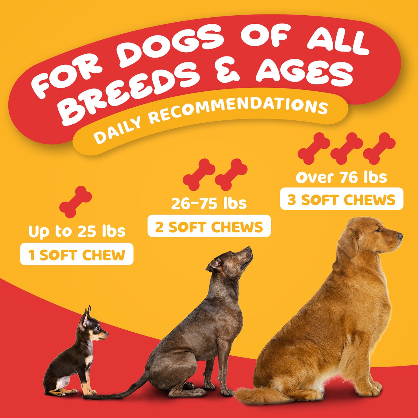 Daily Multi for Dogs