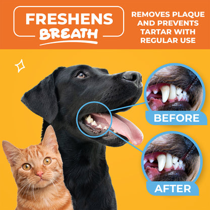 Dental Finger Wipes