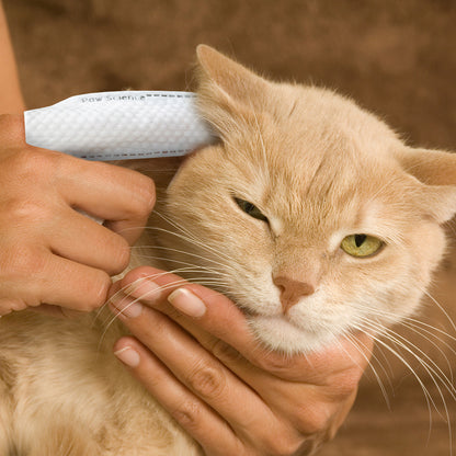Ear Finger Wipes