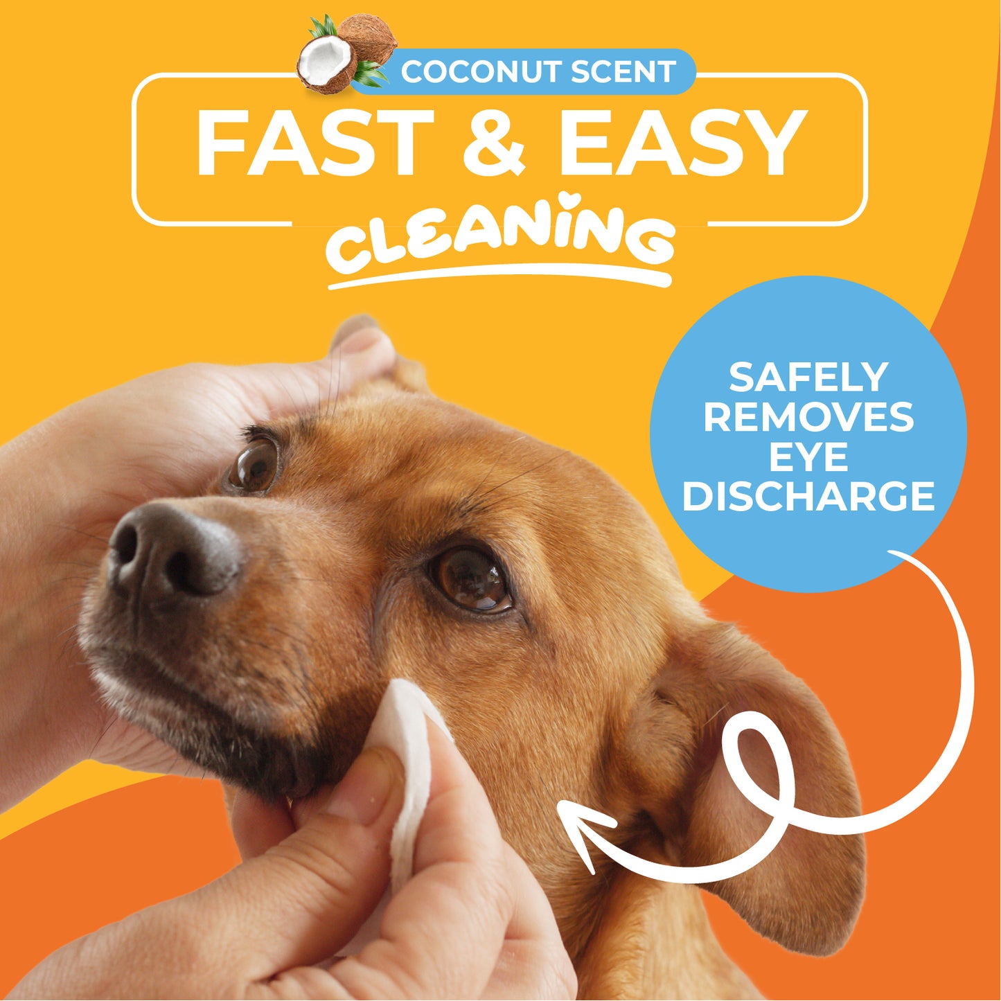 Eye & Face Round Wipes