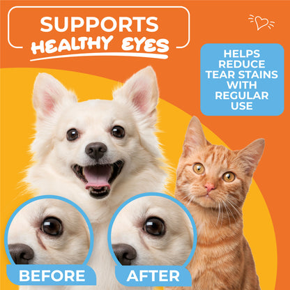 Eye & Face Round Wipes